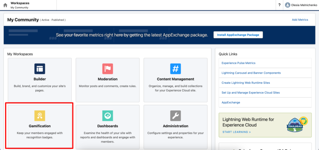 How to Set Up Gamification in Salesforce Experience Cloud to Boost ...