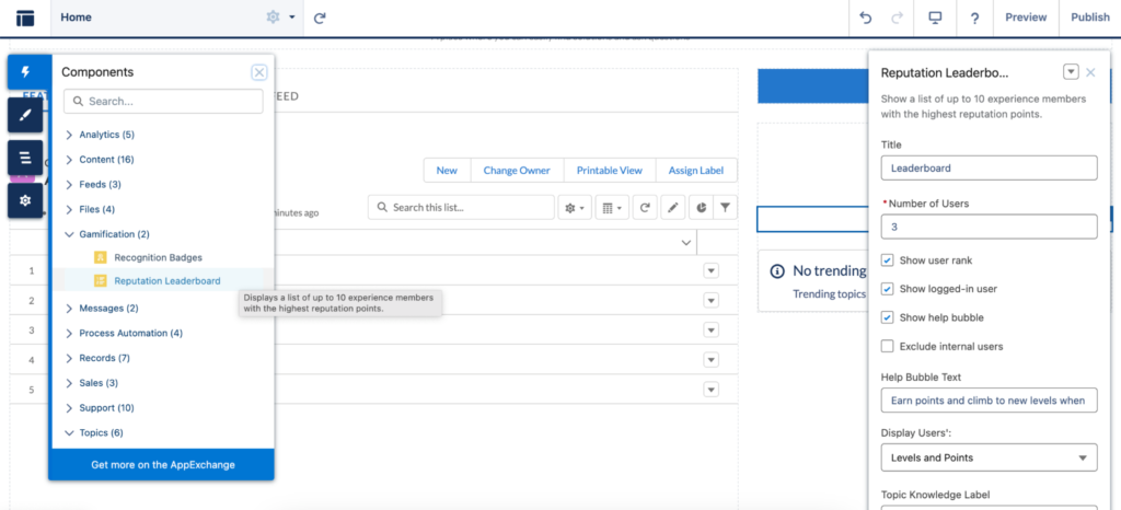 How to Set Up Gamification in Salesforce Experience Cloud to Boost ...
