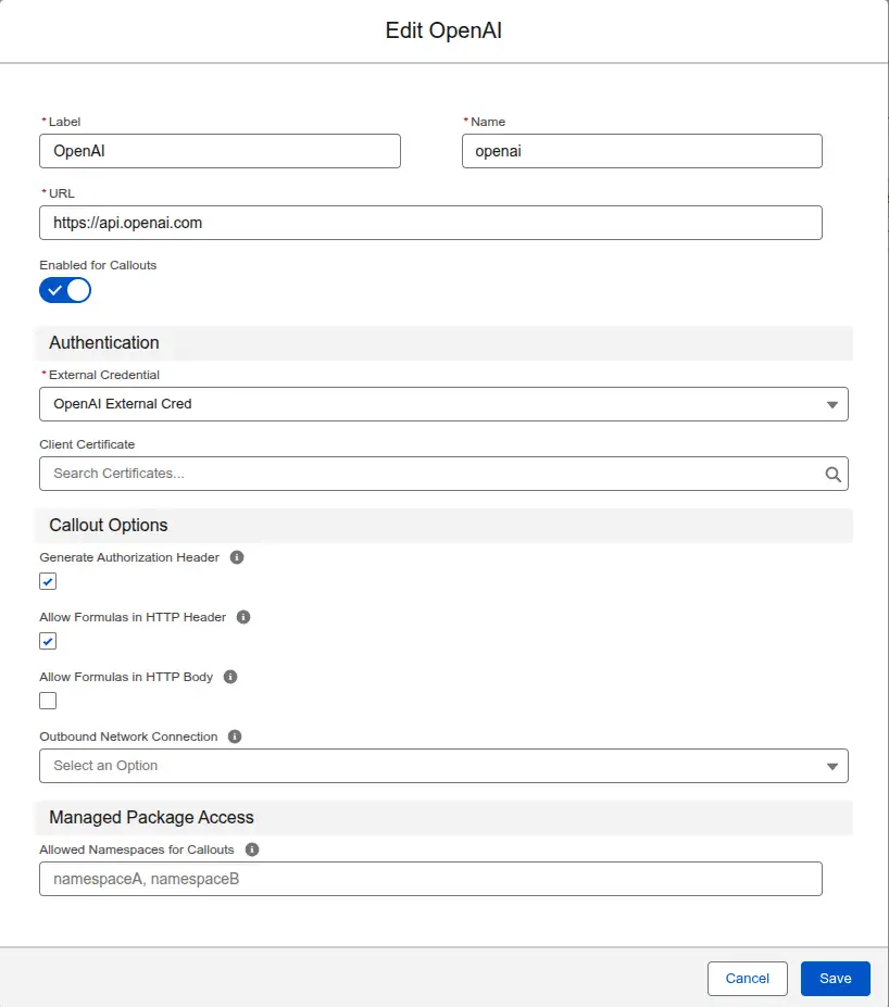 Named Credential creation setup screen.