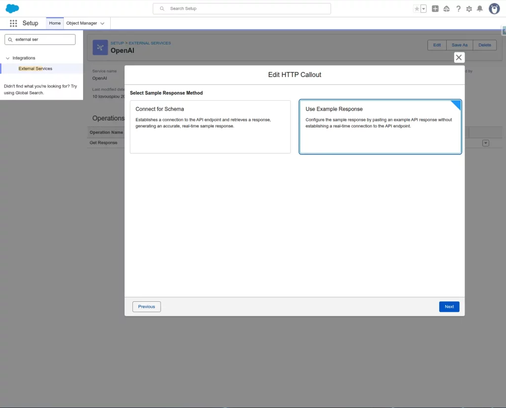 HTTP Callout setup screen for selecting with the options 1. Connect for Schema 2.Use Example Response
