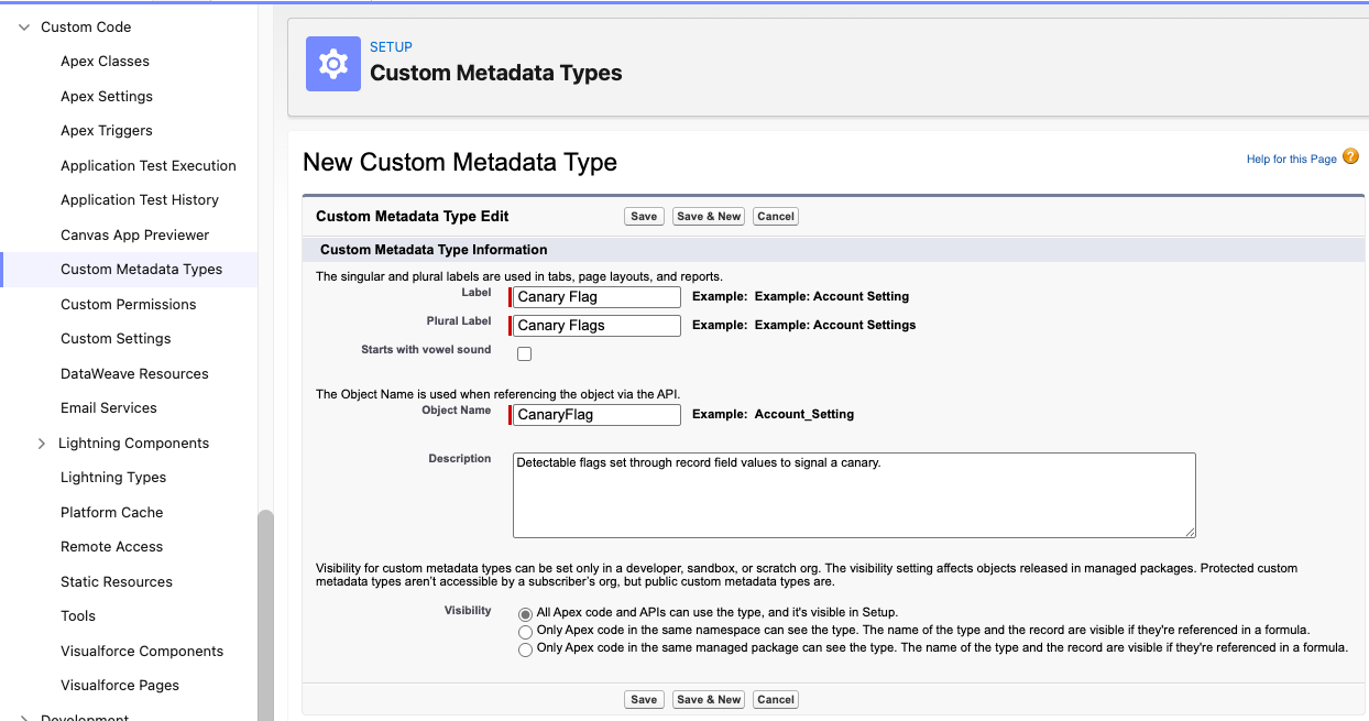 Salesforce New Custom Metadata Type screen showing a CanaryFlag object being created.