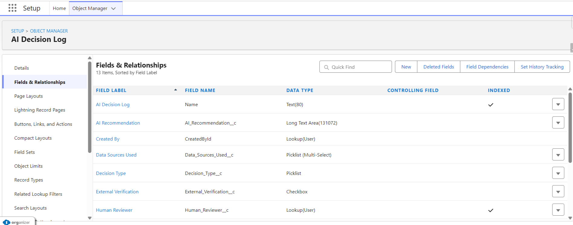 Salesforce Object Manager showing the AI Decision Log custom object with 13 fields including Decision Type, AI Recommendation, Data Sources Used, External Verification, Human Reviewer, and Outcome.