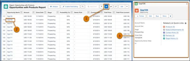 Salesforce Lightning report showing the preview button enabled and a slide-out sidebar displaying details for a selected record.